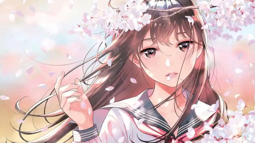 轮播海报